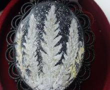 Кулон с эпоксидной смолой "Снежный папоротник "