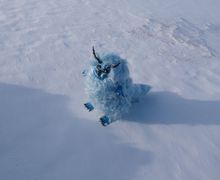 Снежный чертик