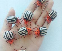 Колорадский жук брошь