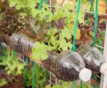 20 идей что можно сделать из пластиковых бутылок