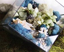 НОЧНИК LIVING OCEAN BLUE