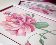 Пион и роза