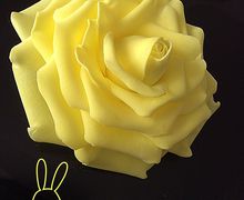 #цветыизфоамирана