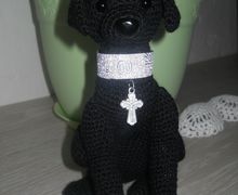 черный лабрадор