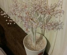 Дерево из бисера (жемчужное)