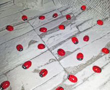 Как сделать божью коровку из кофейного зерна.