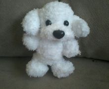 Белый щенок