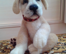 Щенок Баксик