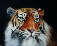 Картина "Шерхан"