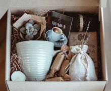 набор с суккулентом