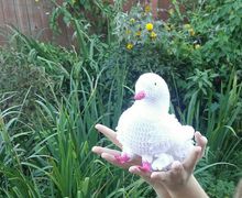 Вязаный голубь