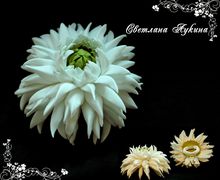 Резинка для волос с цветком георгина