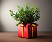 How to make a gift for For Him