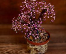 Дерево из бисера