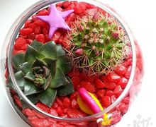 "Цветущий мир"