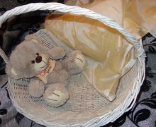 Корзина для фотосессий