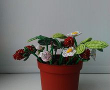 Напоминание о лете)