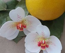 Украшения для волос из цветов ручной работы