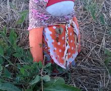 Крупеничка