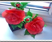 Резиночки Розы