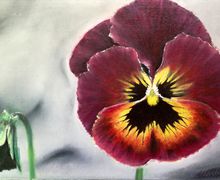 Цветок"Анютины глазки"