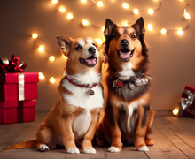 How to make a gift for For Pets