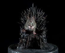 Железный Трон. Миниарт. Настольная миниатюра ручной работы