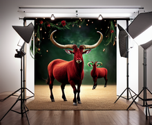 How to make a gift for Capricorn