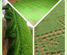 шаль березка