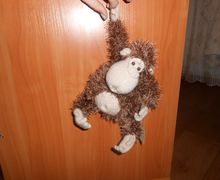 Биби зян Шоколадик