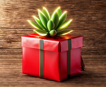 How to make a gift for vegans