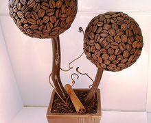 Кофейный топиарий