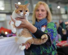 ЗООМИР. Выставка животных