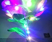 Светящаяся Роза