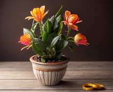 How to make a gift for motivational