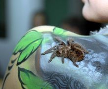 Фестиваль креативных художников "ArtEast"