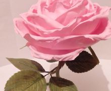 Интерьерная роза