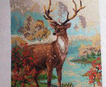 Олень у ручья