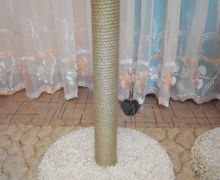 Когдеточки