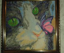 кот с бабочкой