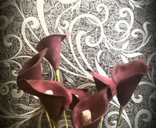 Каллы из фомиарана