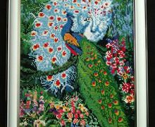 два павлина