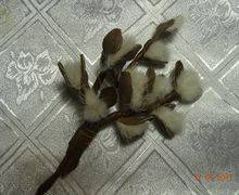 Брошь "Веточка вербы"