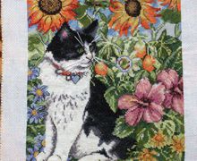 Кот на прогулке