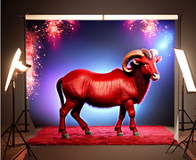 How to make a gift for Aries