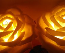 Цветы светильники розы