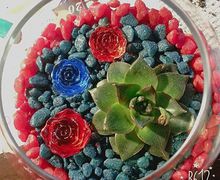 В царстве каменных роз...