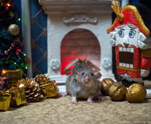 Щелкунчик. Миниарт. Настольная миниатюра ручной работы