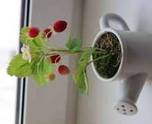 Земляника из полимерной глины