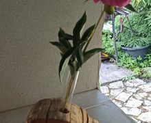 Изделия из дерева